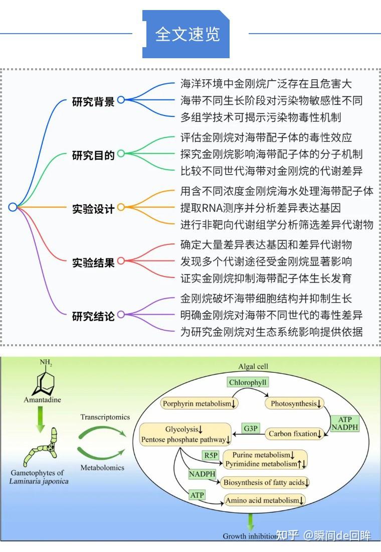 【中科院1区12.2】转录组+代谢组|山东省海洋资源与环境研究院徐英江研究团队揭示金刚胺诱导海带毒性的机制 - 知乎
