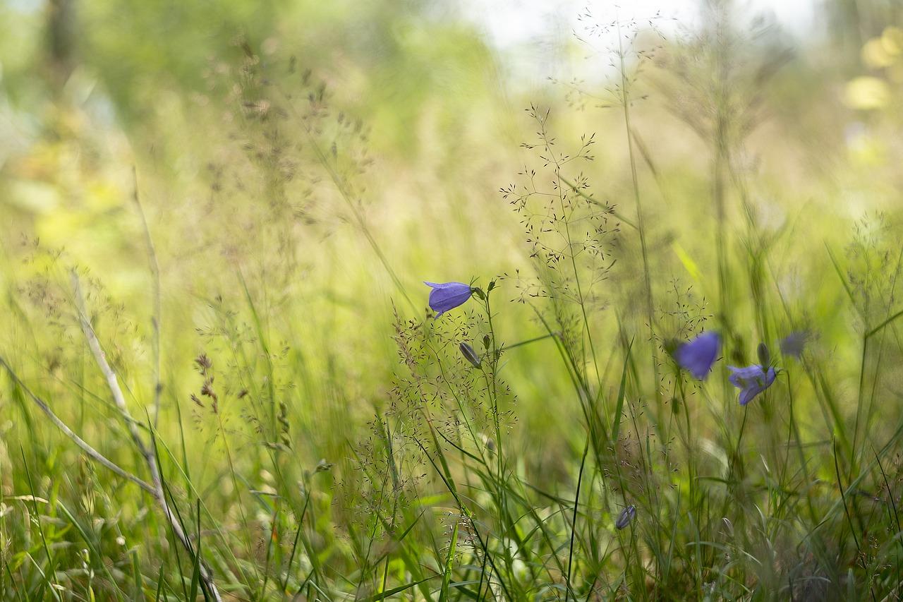 4. 空调使用攻略
