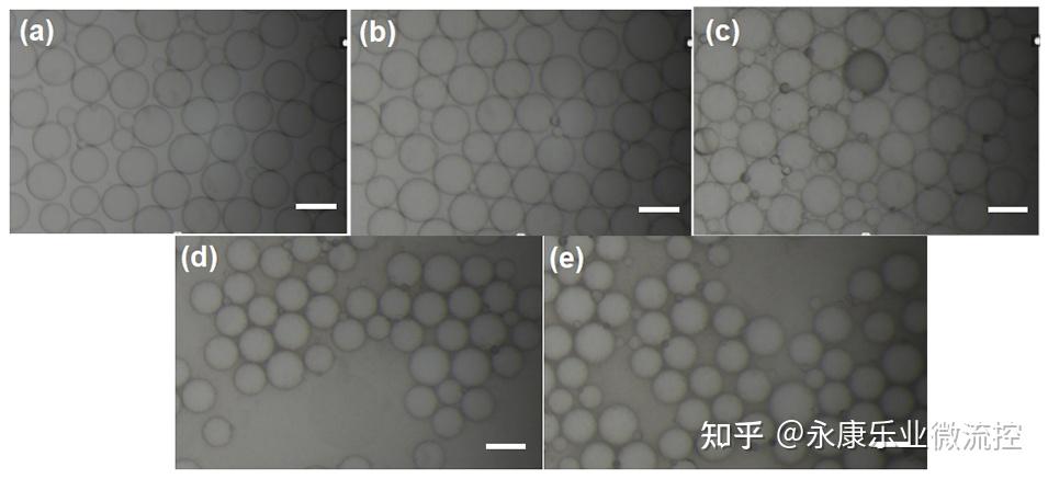 【应用案例】毛细管液滴微流控芯片制备单分散聚苯乙烯(PS)微球 - 知乎