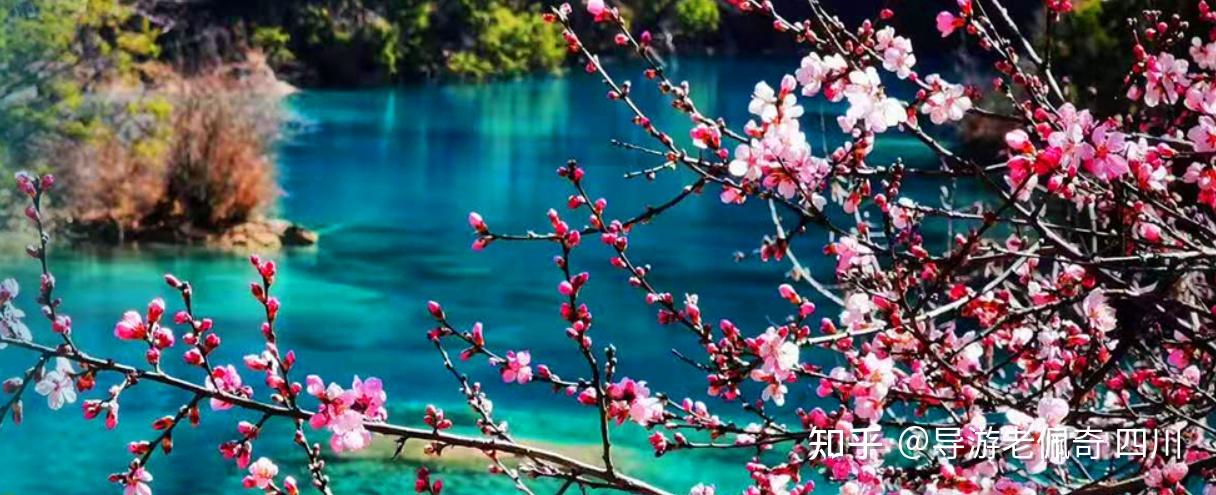 给第一次去九寨沟的游客们一些建议【最新九寨沟旅游攻略】。 - 知乎