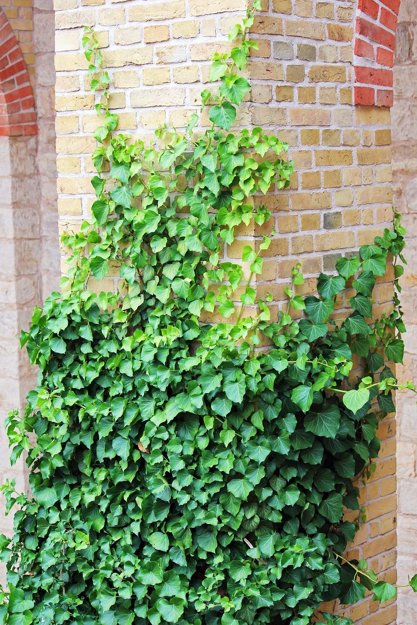 2. 课程设置合理吗