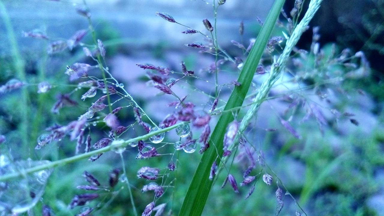 海信天玺在哪里