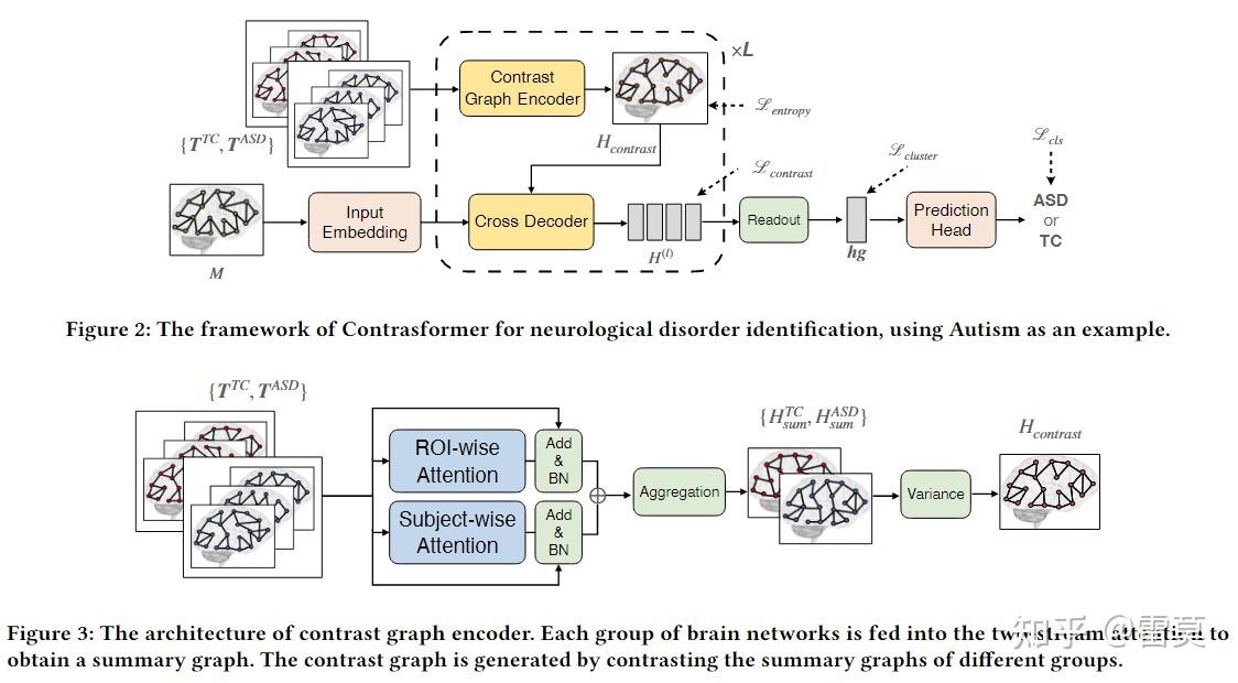 [CIKM 2024] A Brain Network Contrastive Transformer for ...