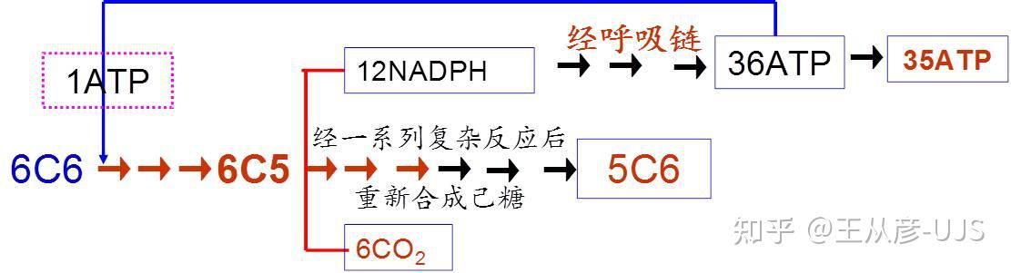 环境微生物之代谢 - 知乎