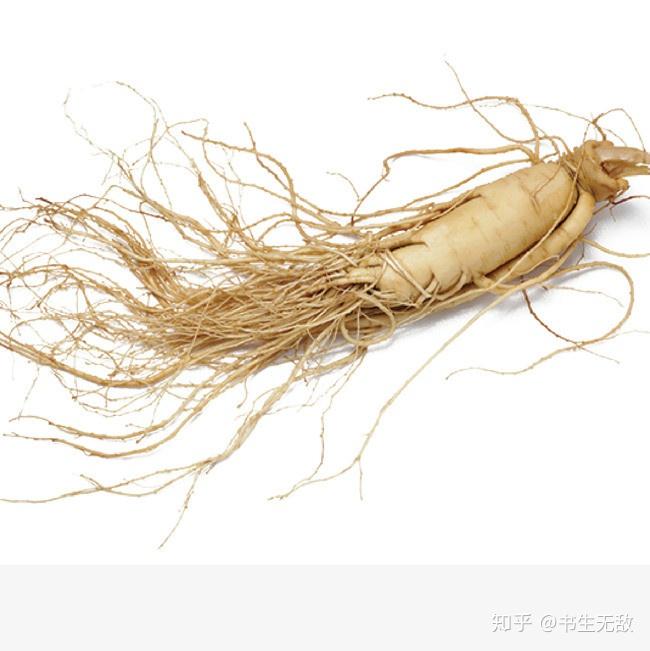 最常见的购买像人参这样的养生特产要么太贵要么太便宜的误区在哪?