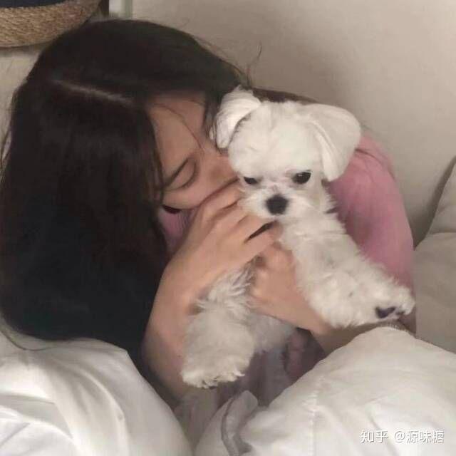 有没有女孩子抱着狗狗的头像越多越好