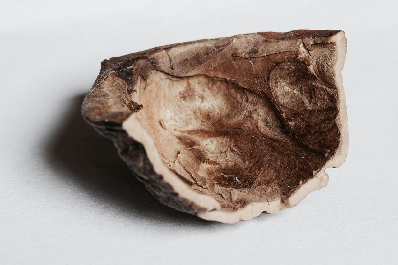 3. 北京海淀老核桃