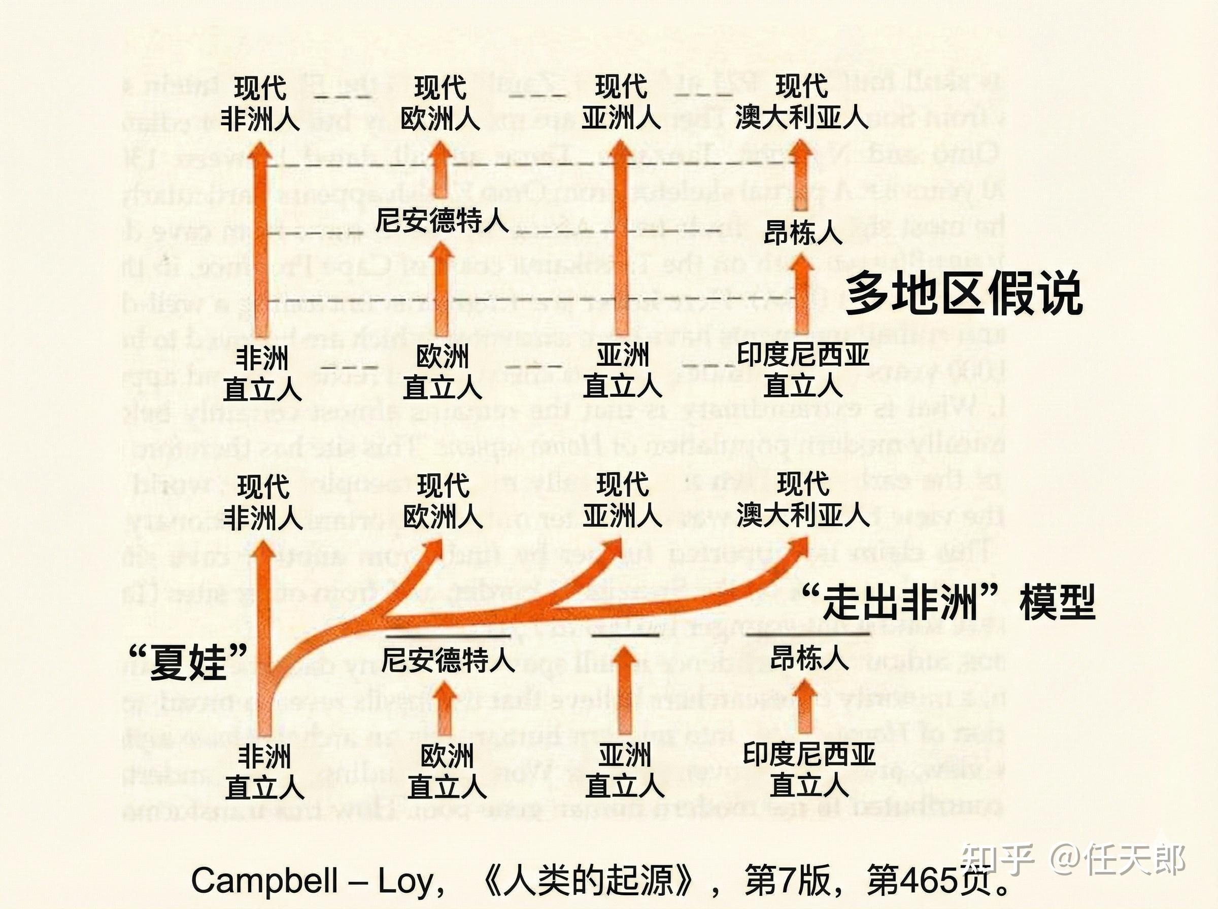 古DNA，为人类起源地之争画上句号 - 知乎