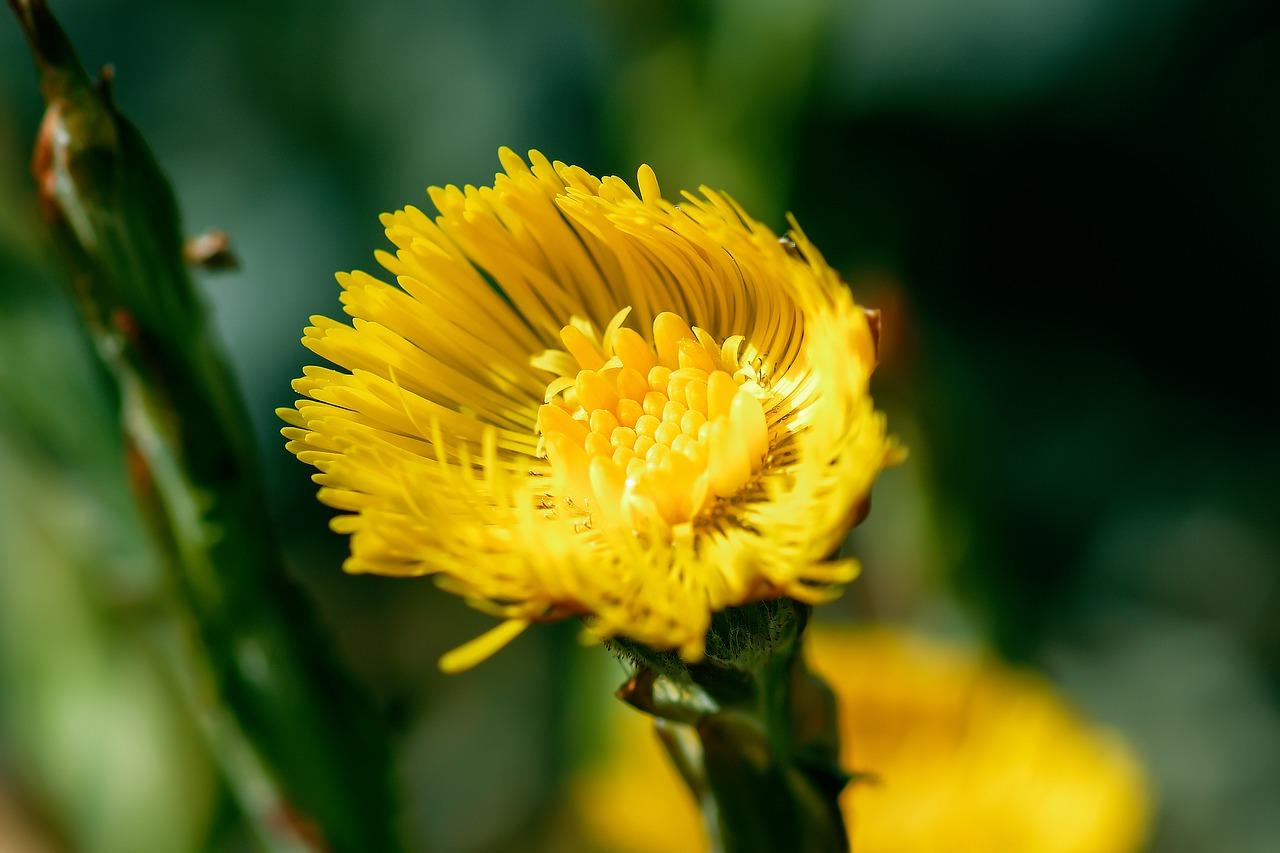 4. 铜铝门选购技巧