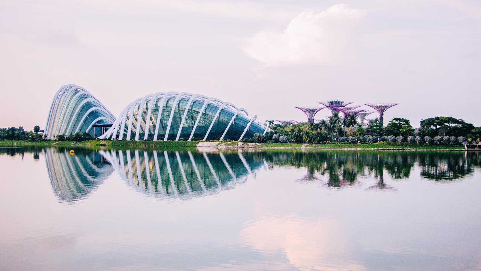来自未来的花园 - 滨海湾花园 - 知乎