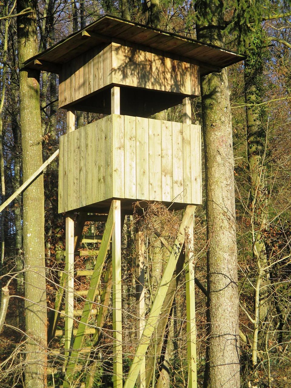 鸟语花香：百鸟齐鸣