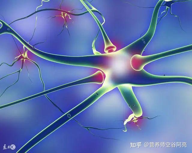 神经衰弱有3大症状,应补充3大营养素来调理 - 知乎
