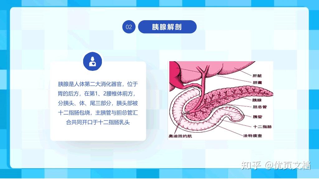 急性胰腺炎护理查房PPT模板免费下载 - 知乎