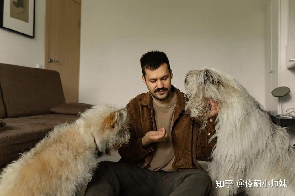 狗为什么会对主人如此忠诚?其实,狗狗的忠诚并非天生的爱 - 知乎