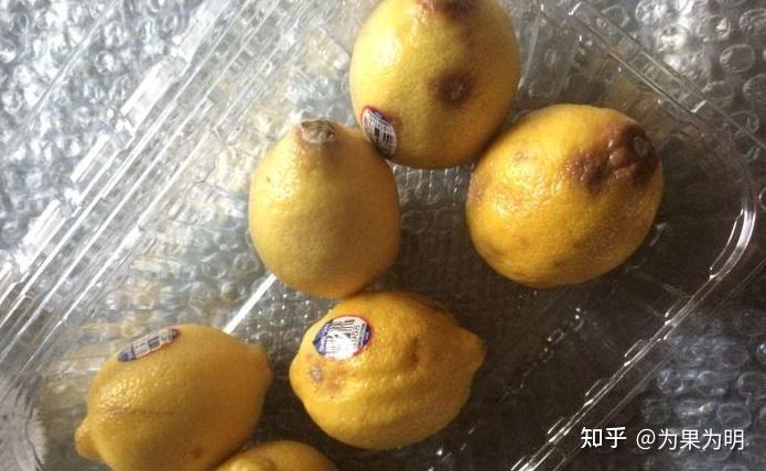 柠檬表皮有很多黑点,还能否食用?谢谢 - 知乎