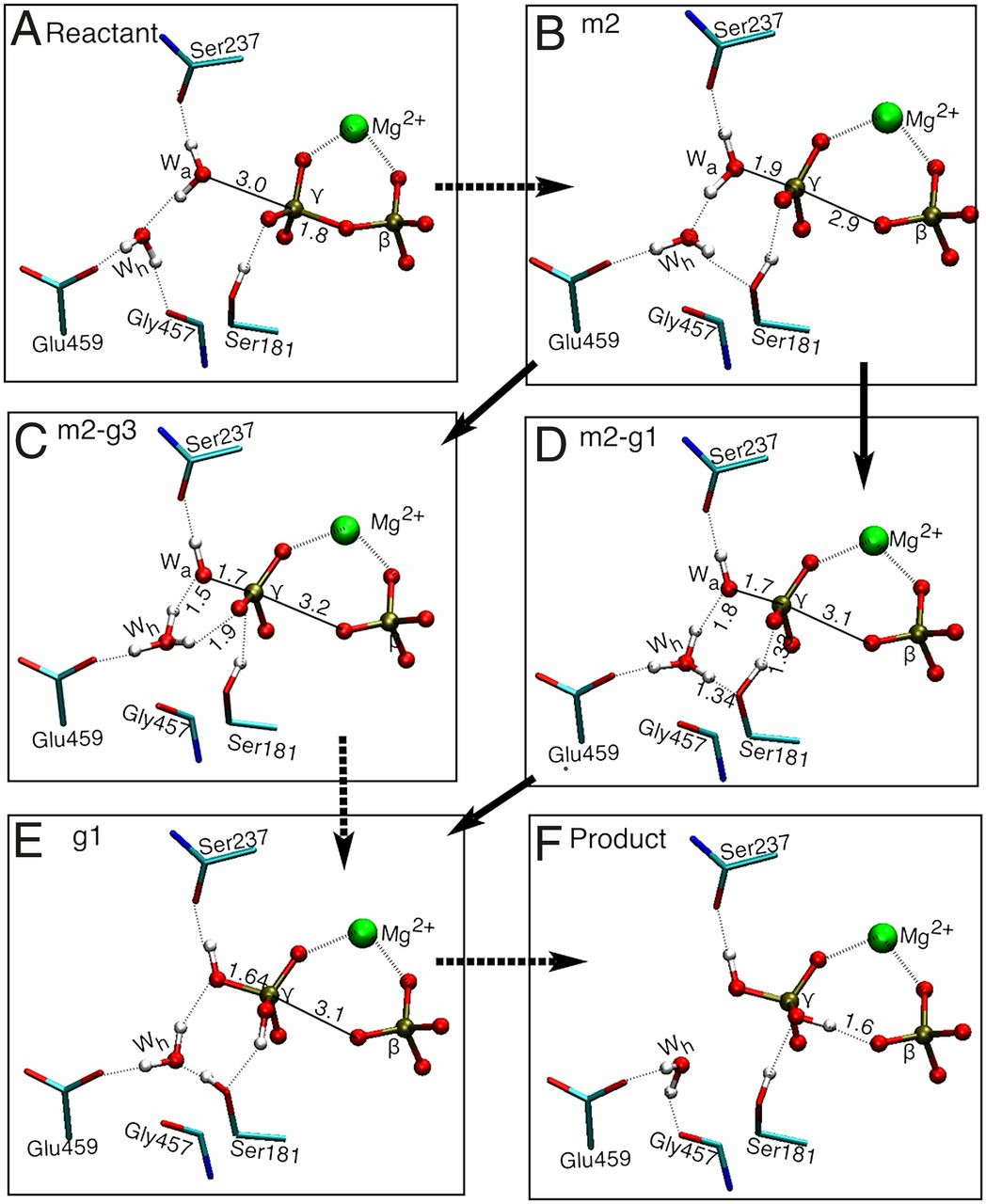 化学中化学键断裂是吸收能量生物中高能磷酸键断裂为什么是放出能量