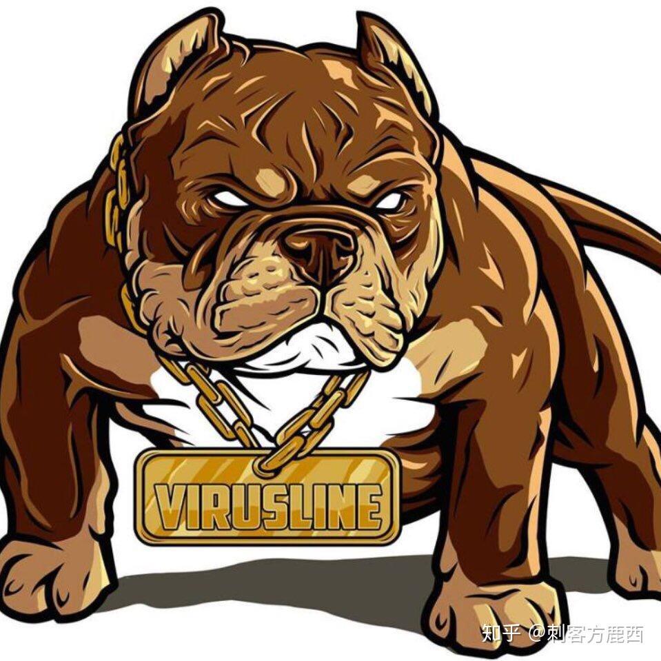 美国恶霸犬怎么样? - 知乎