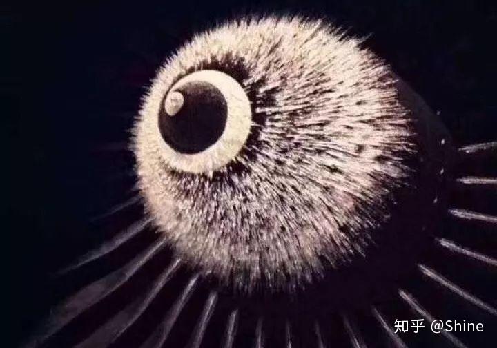 中国民用航空安全检查规则