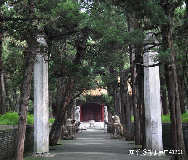 孔林——孔家后世荣华地 - 知乎