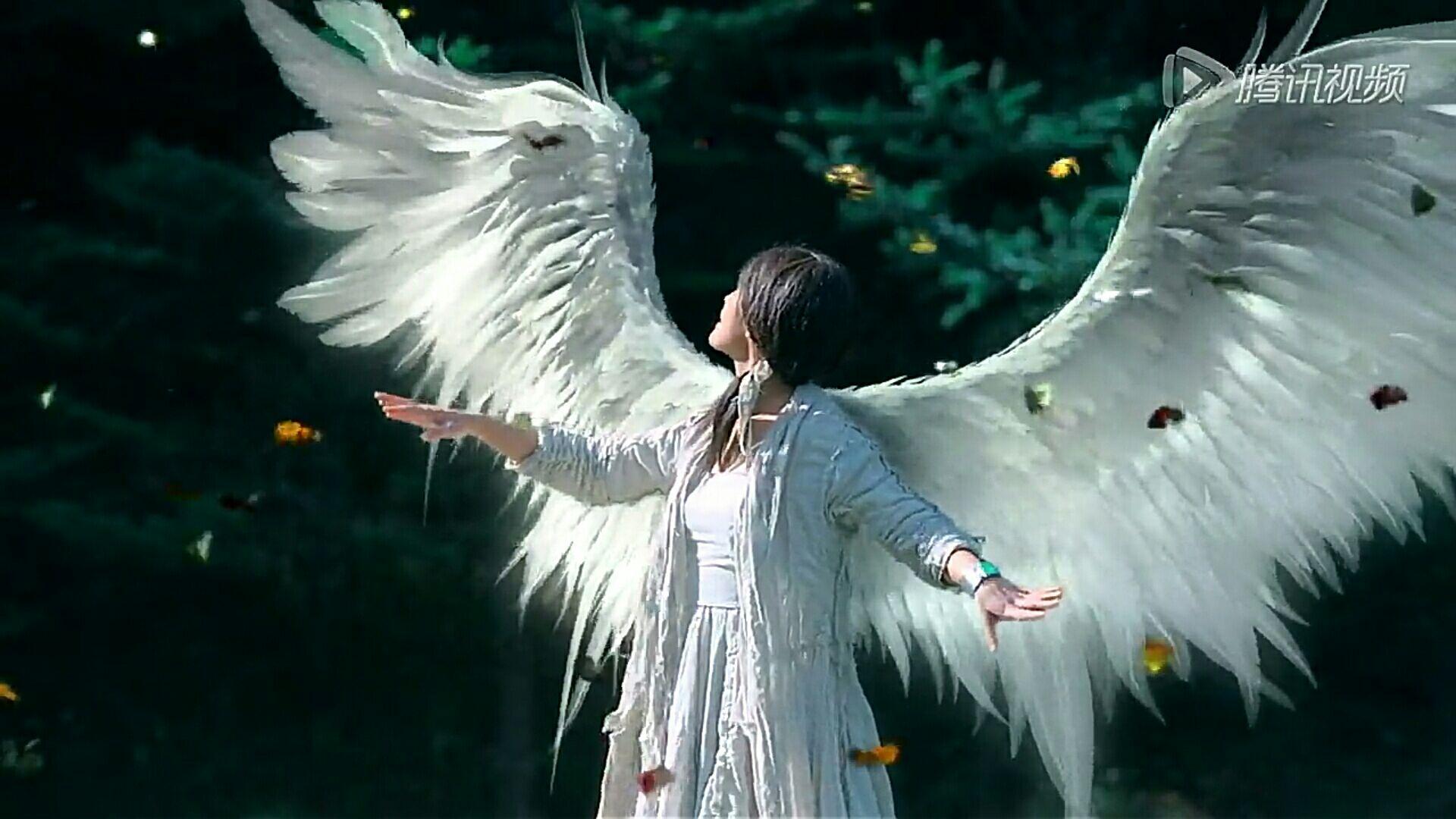 又看了一遍情癫大圣发现有一点原来没看明白现在依旧不明白求释疑