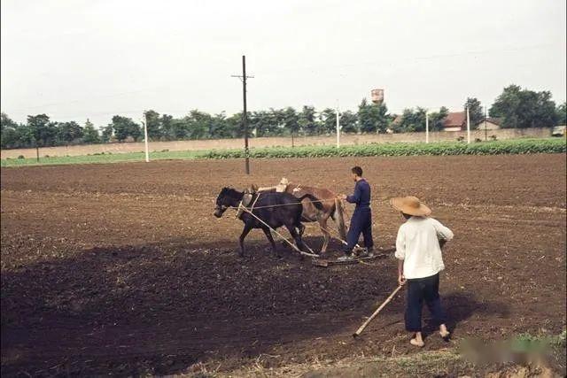 50幅老照片带你体验上世纪70/80年代的农村艰苦生活 - 知乎