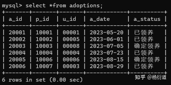 Dog Sql 基于MySQL的宠物店领养寄养系统数据库设计 - 知乎
