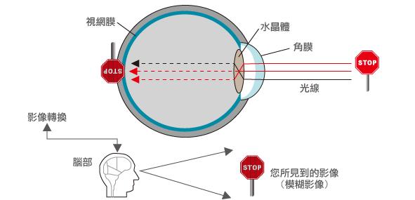 搞不懂眼动仪?看完这篇文章你就全明白啦！ - 知乎