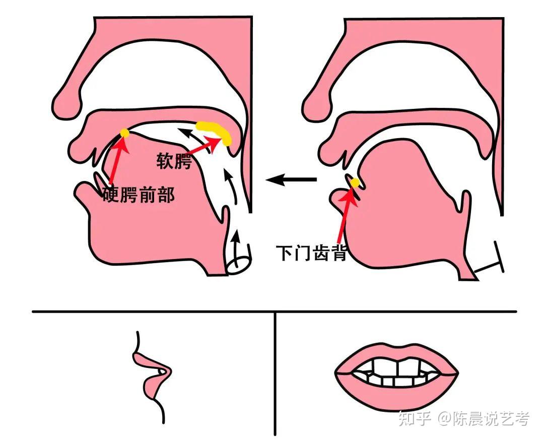 播音生必看:每天练习15分钟,告别嘴瓢 - 知乎