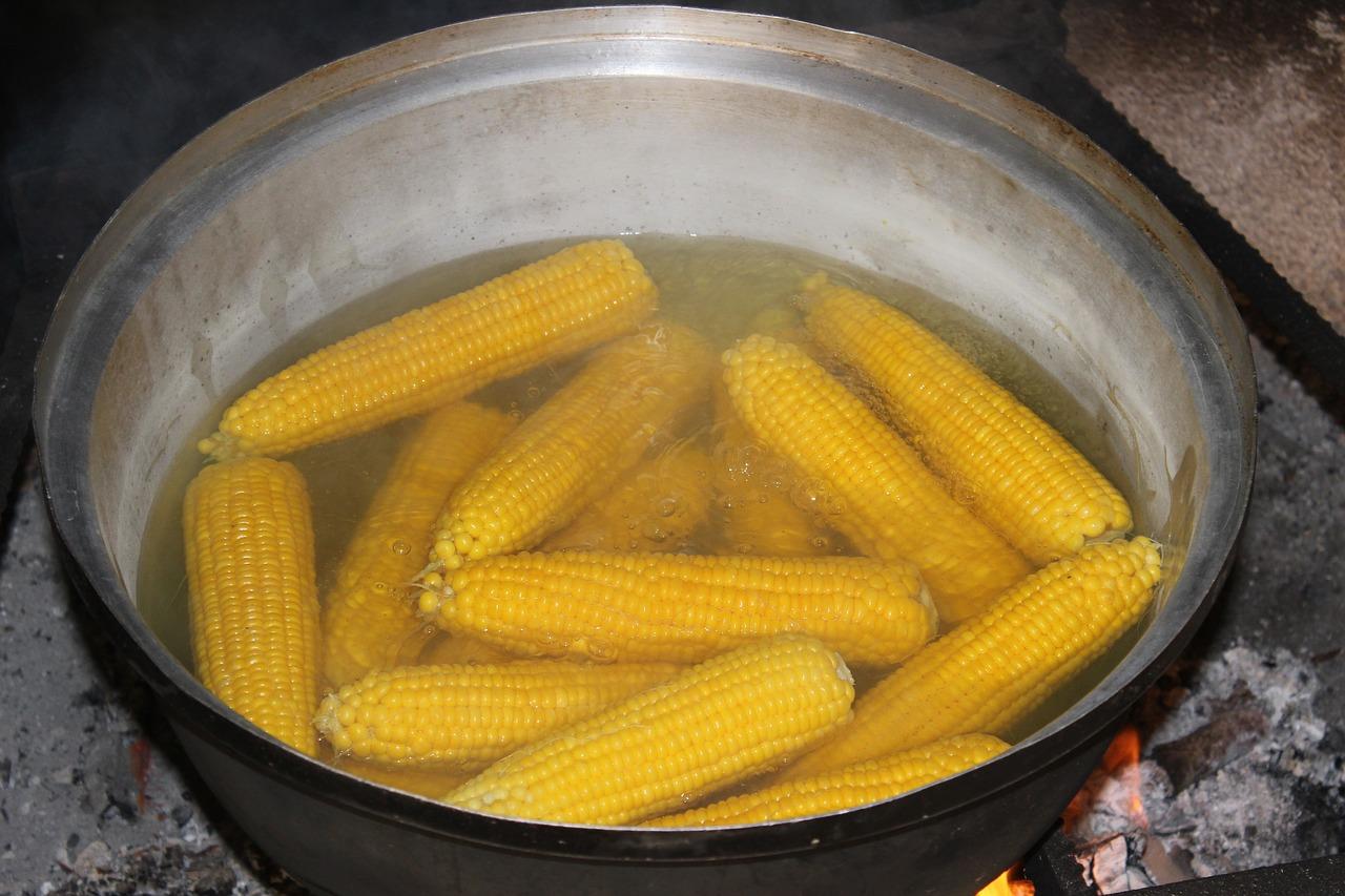 电灶具成本分析