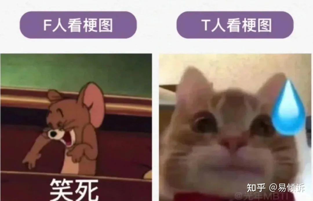 MBTI测试:T人与F人的区别 - 知乎