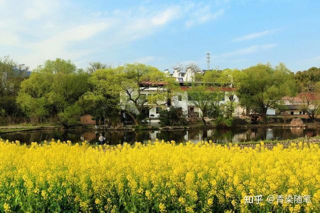 暮春来,初夏到!20首暮春诗词,告别最美春日 - 知乎