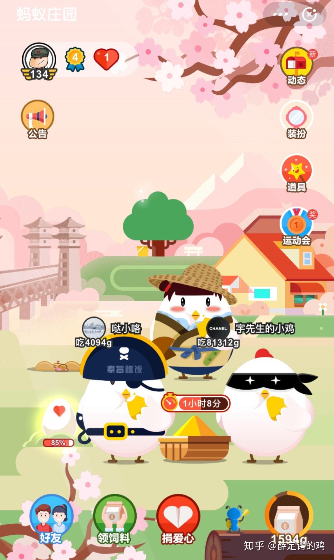 我想看你们晒蚂蚁庄园小鸡的身高体重心情值