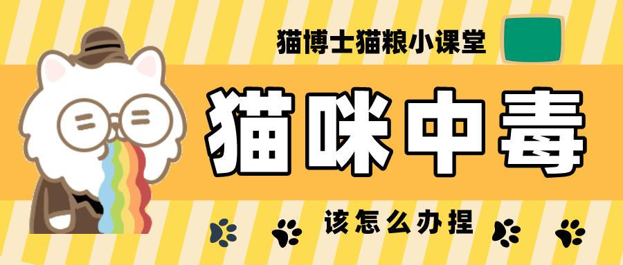 v2-0fe731cb09f91321988c2b3a9fd62247_1440w.jpg?source=172ae18b