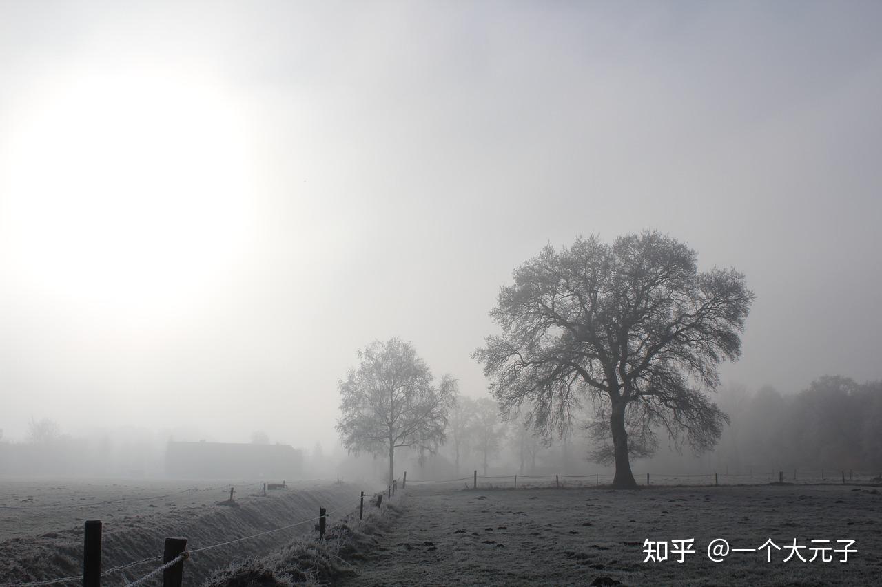 冬天,是一个让人沉迷的季节 - 知乎