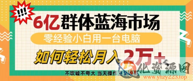 6亿群体蓝海市场，零经验小白用一台电脑，如何轻松月入过w【揭秘】