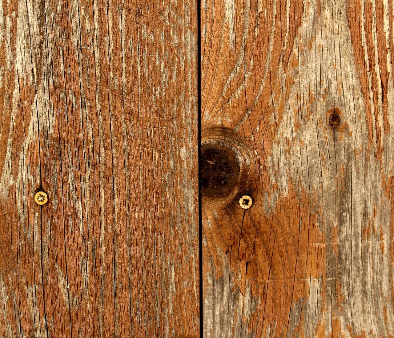 2. 花卉缺水怎么办