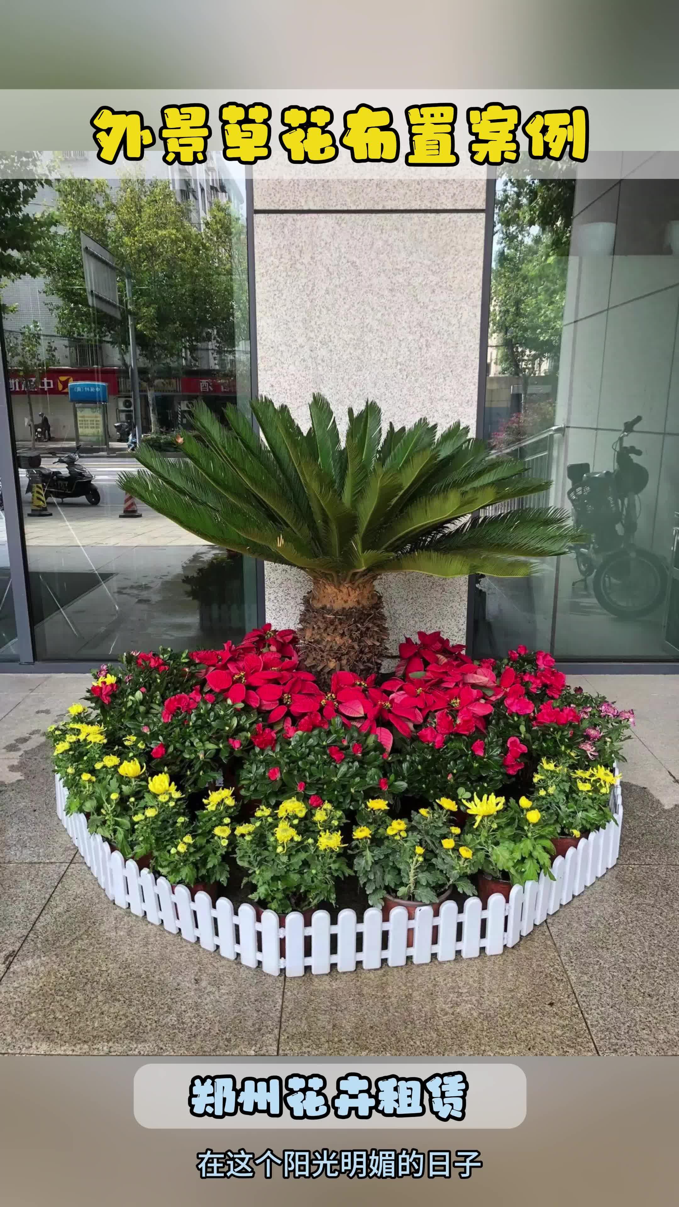 外景草花布置案例郑州绿植租赁郑州花卉租摆金水区花卉租摆企业