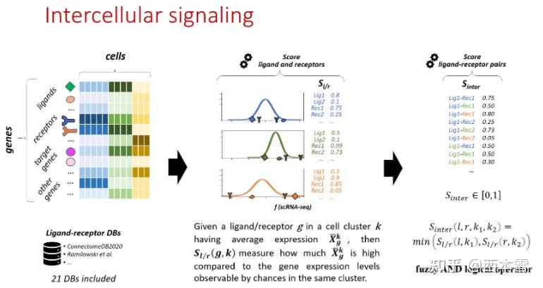 单细胞空间细胞互作部分原理细节解析 - 知乎