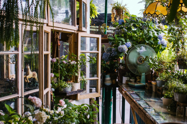 重庆有什么必去的景点?-重庆有什么好玩的景点推荐