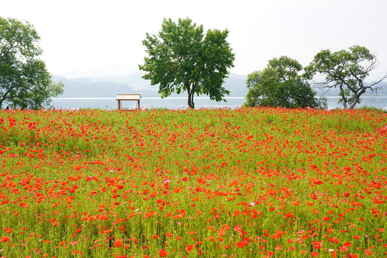 5. 周边配套分析