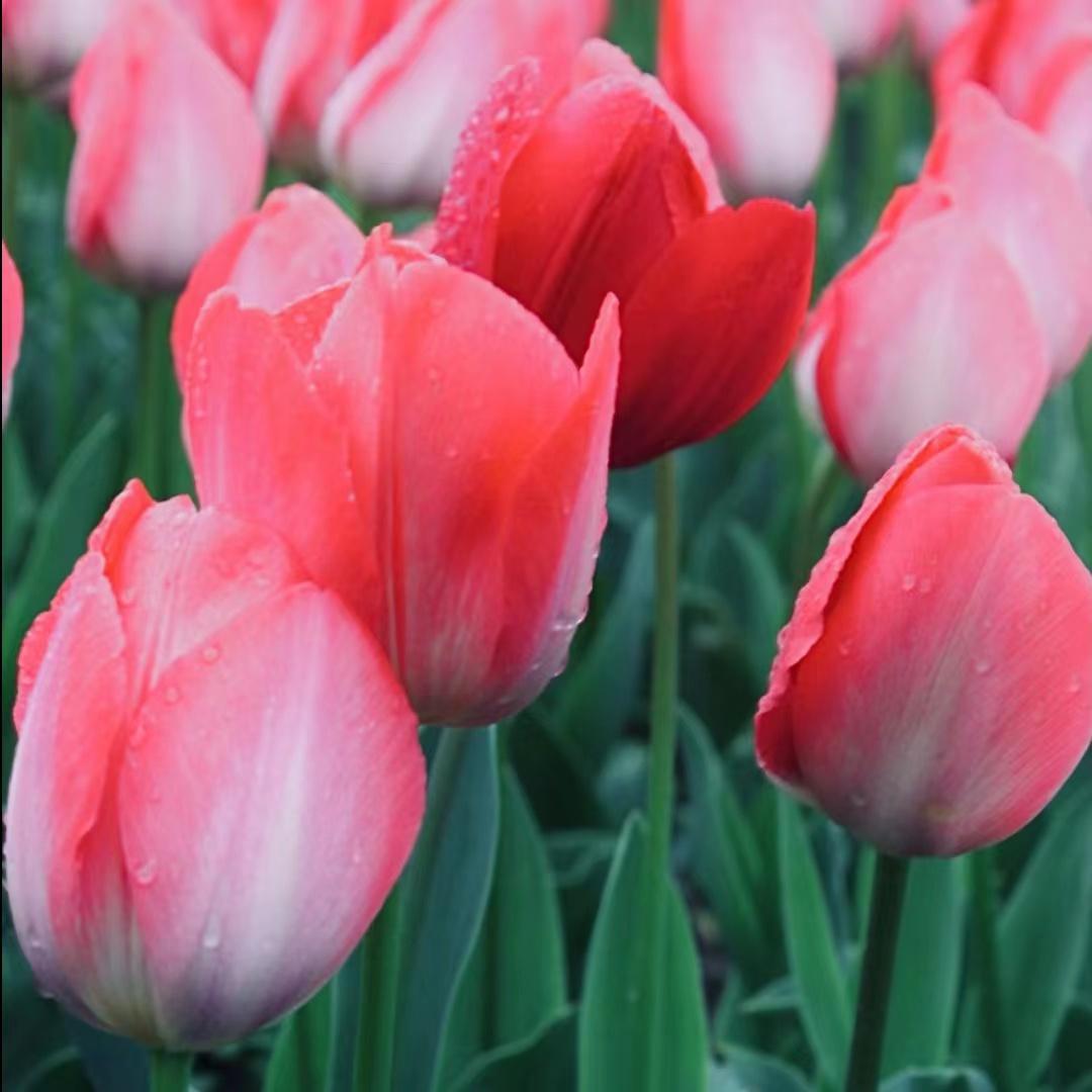 该不该和长时间不换微信头像微信名字的女生恋爱? - 知乎