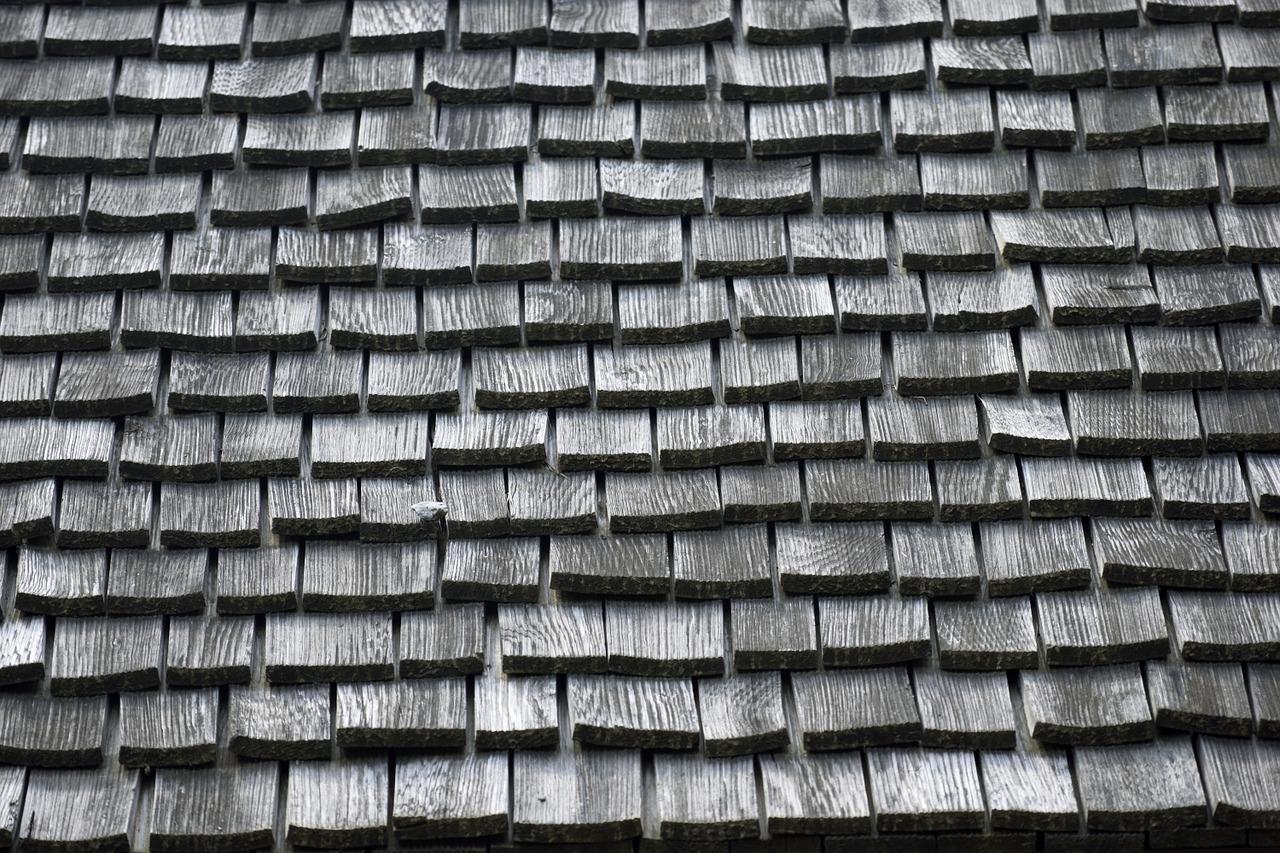 3. 避免水温突变