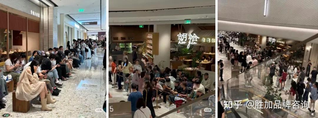 胜加解析 | 人均排队3小时:胡恰为何能成为江西版的费大厨? - 知乎