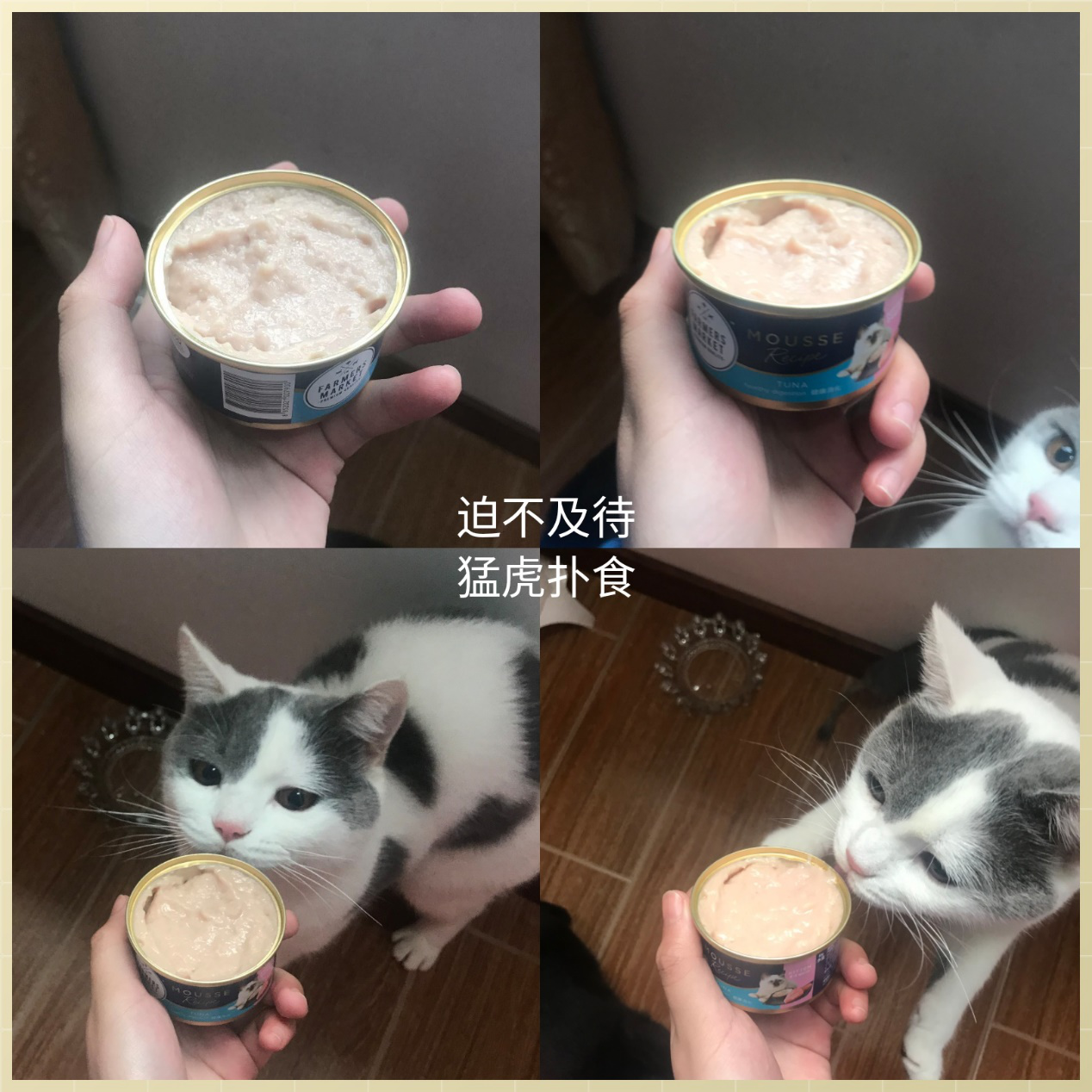 v2-10bb3c87518010d9515f936b8f2862a8_1440w.jpg?source=172ae18b