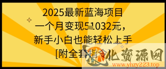 2025最新蓝海项目一个月变现1w+新手小白也能轻松上手【附全套指令】