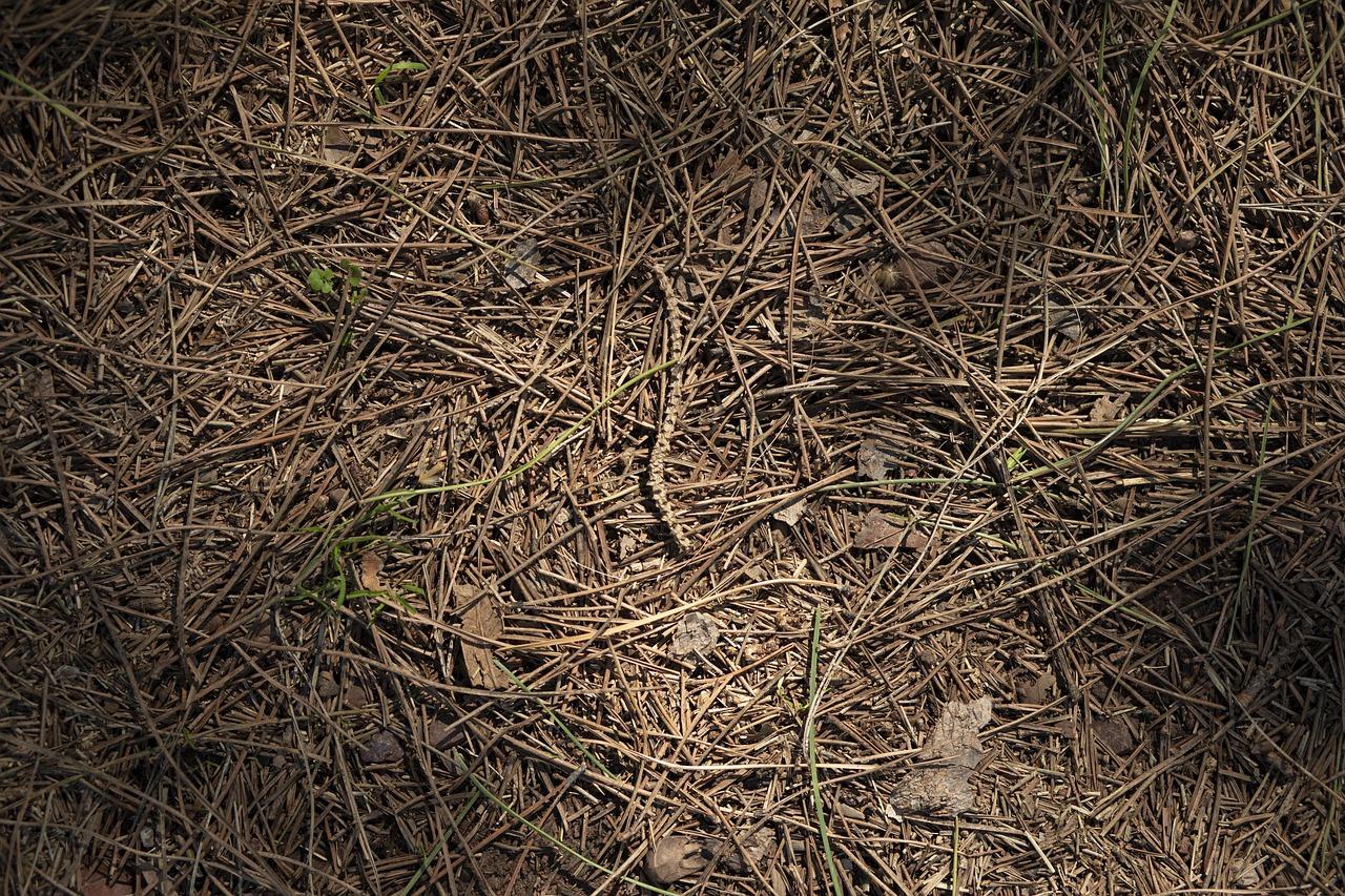 5. 标高与楼层关系