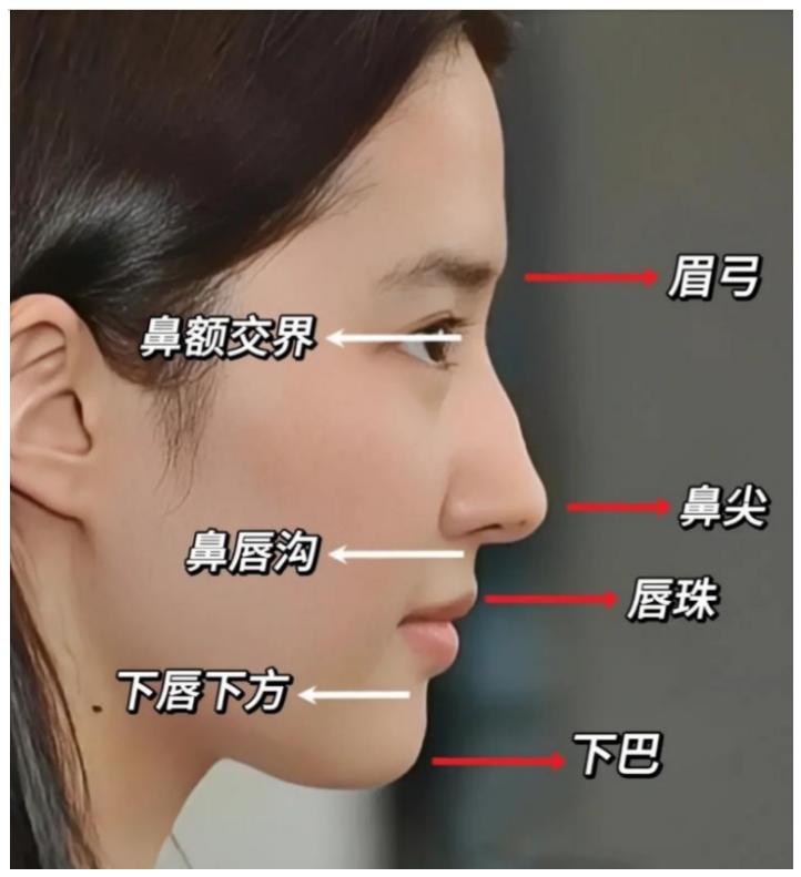 眉弓对颜值的影响有多大?什么人适合做眉弓?一般选什么材料合适? - 知乎