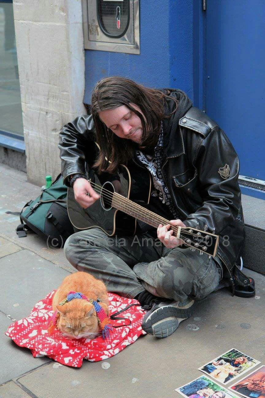 如何评价电影《流浪猫鲍勃》(a street cat named bob)? - 知乎