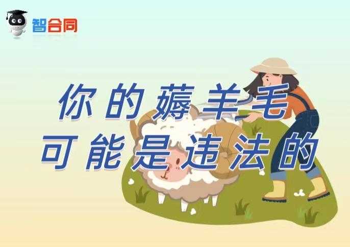智合同丨你的薅羊毛可能是违法的 - 知乎