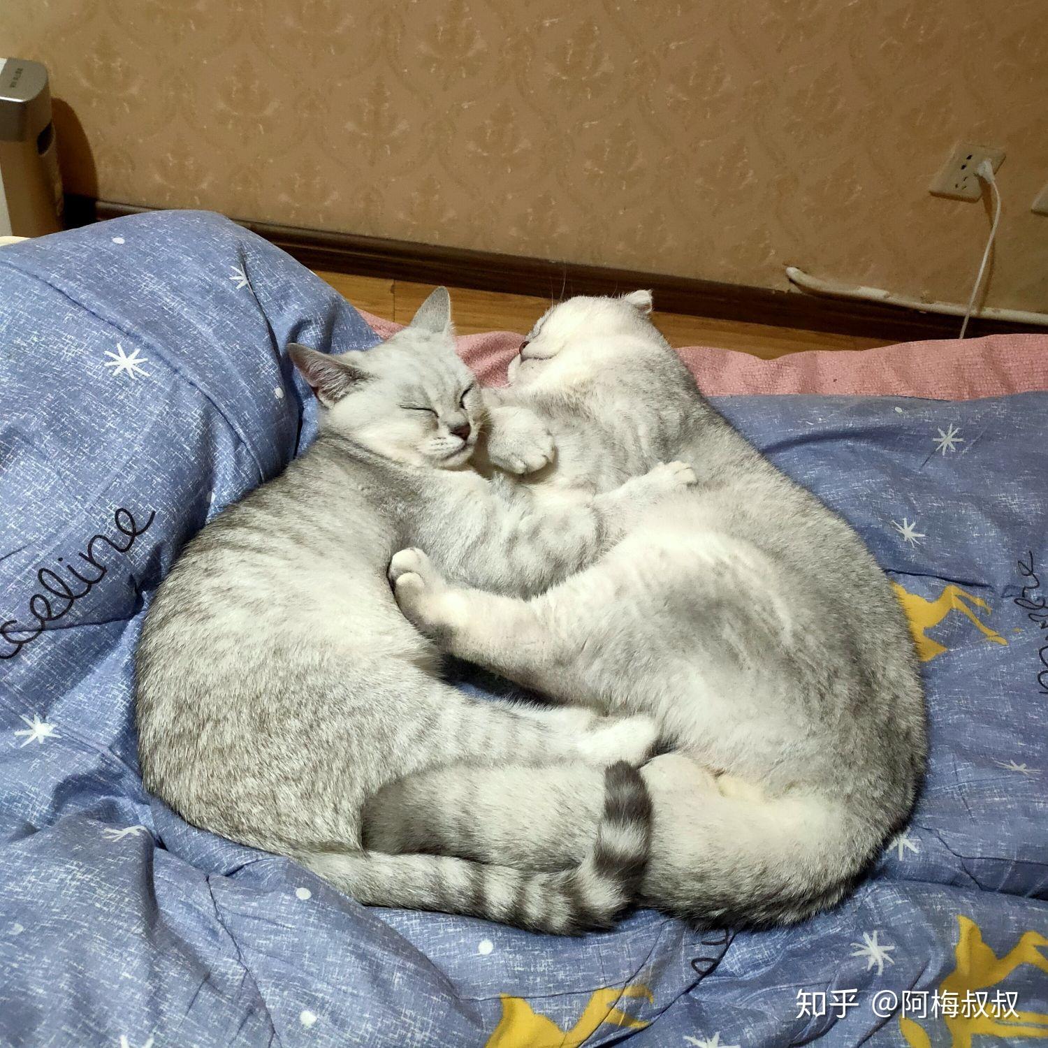 用什么睡姿抱女友睡觉最舒服